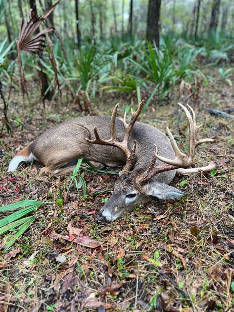 Sign Found Behind Camera Leads To 15 Point Bruiser Buck Louisiana