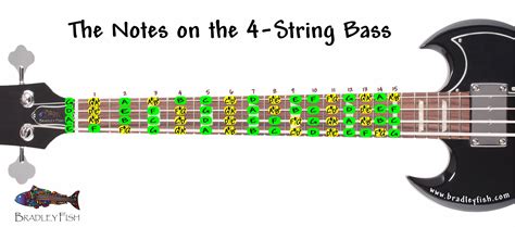 String Bass Fretboard Chart Printable