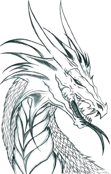 Grab Your New Coloring Pages Dragons For You