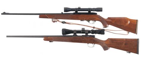 Two Scoped Rifles