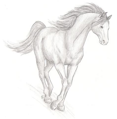 How To Draw Cartoon Horses Realistic Horses Drawing T