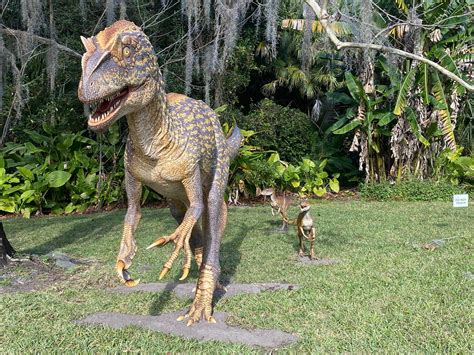 Did you know the Allosaurus... - Harry P. Leu Gardens