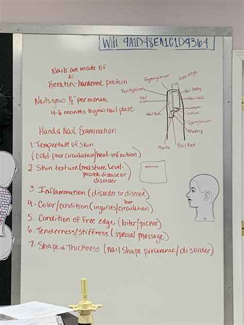 Cosmetology State Board Exam, Cosmetology Student, Study Guides, Study