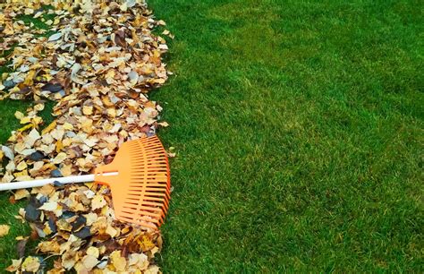 Lawn And Planting Tips For The Fall Fall Lawn Care
