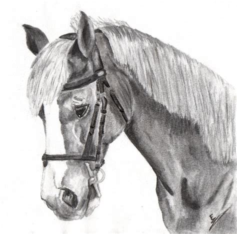 Dessin Cheval Facile Photo De Cheval Facile A Dessiner