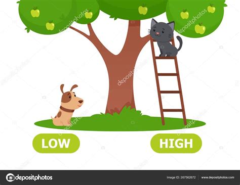 Illustration Opposites Low High Stock Vector Image By ©nizovatina