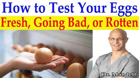 Two Best Ways To Test If Your Eggs Are Fresh Going Bad Or Rotten Dr