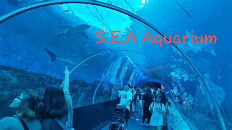 Sea Aquarium Complete Tour Singapore Atlantis Style Sealife Resorts
