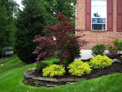 Easy Landscaping Ideas For Shaded Front Of House Landscape View