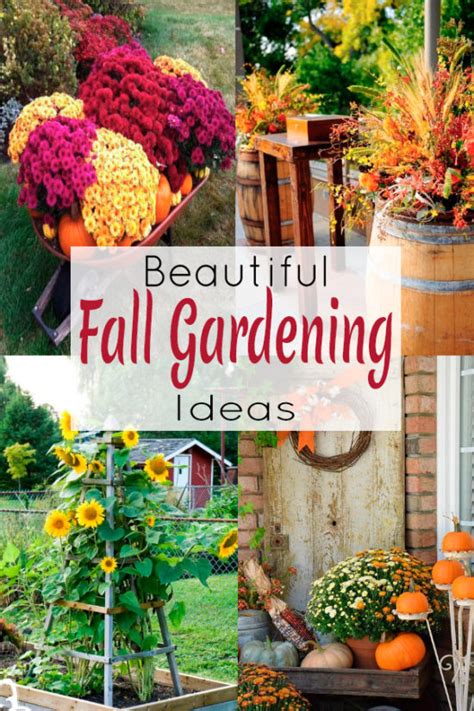 11 Fresh Ideas For Fall Gardens The Honeycomb Home