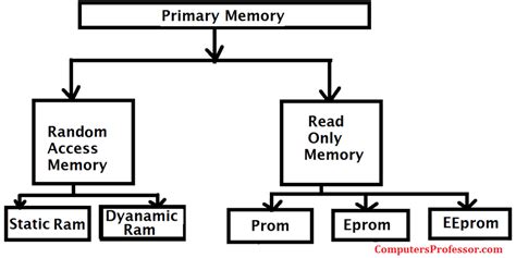 Explain The Primary Memory Of A Computer Computers Professor