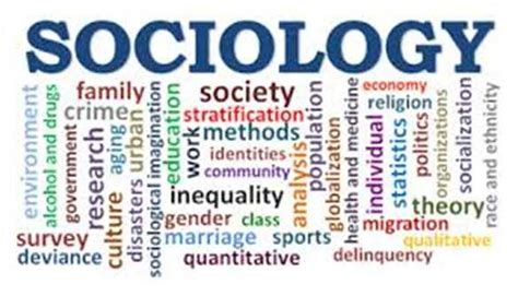 Importance Of Sociology Daily Kiran