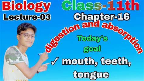 Biology Class 11th Lecture 03 Digestion And Absorption Unit 5 Human