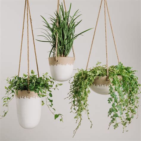 Freida Hanging Planter | Hanging plants, Hanging planters, Hanging ...