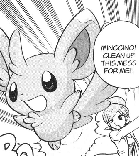 Minccino Pokemon Chinchilla
