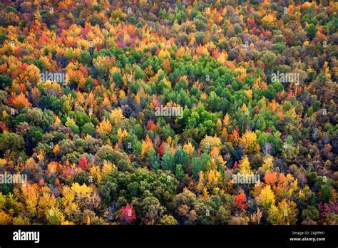 Canada Maple Autumn Landscape Hi Res Stock Photography And Images Alamy