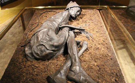 The Tollund Man Is A 2400 Year Old Bog Body And Victim Of Human