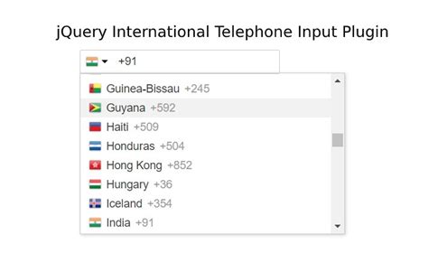 International Telephone Input With Country Flags And Dial Codes Using