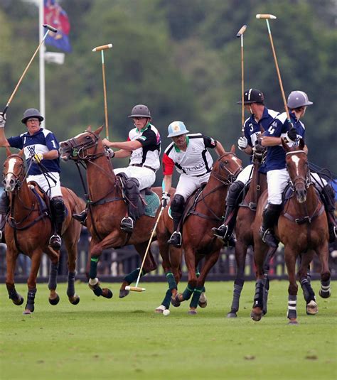 Najnovšie športové správy z celého sveta. Les origines du polo, le sport des Rois et des nobles