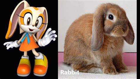 The Sonic Characters Real Life Comparisons Youtube