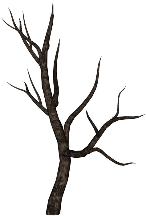 Stick Clipart Bare Branch Spooky Tree Branch Png Transparent Png