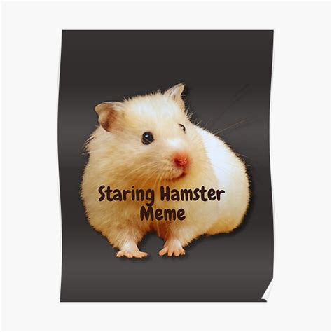 Cute Staring Hamster Meme Poster For Sale By Merchgiants Redbubble