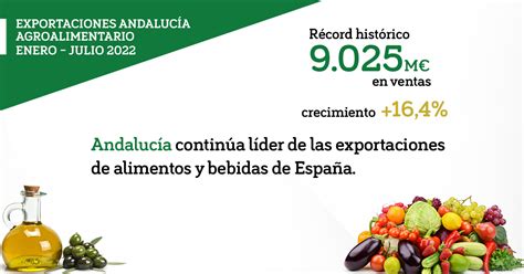 Las Exportaciones Agroalimentarias Andaluzas Superan Por Primera Vez