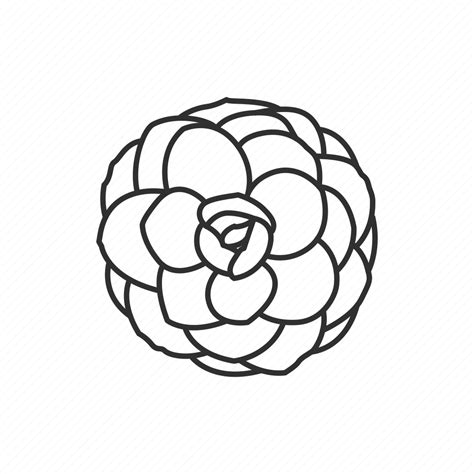 Alabama Camellia Flower State State Flower State Symbol Usa Icon