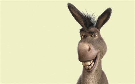 100 Donkey Wallpapers