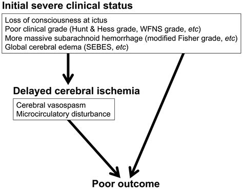 Tenascin‐c In Brain Injuries And Edema After Subarachnoid Hemorrhage