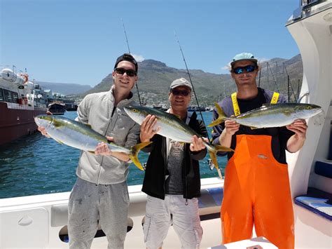Yellowtail Fishing Hout Bay Cape Town Fishing Charters
