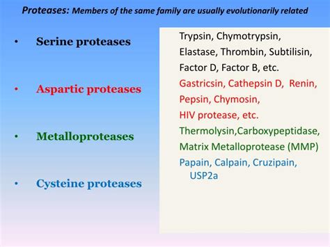 Hedin, on the presence of a proteolytic enzyme in the normal serum of the ox, in the journal of physiology, volume 30, number 2. PPT - Proteolysis PowerPoint Presentation - ID:2136144