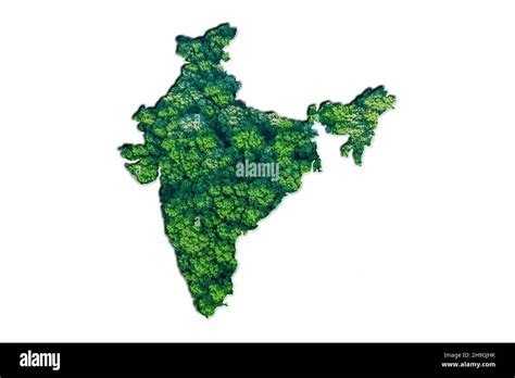 Green Forest Map Of India On White Background Stock Photo Alamy