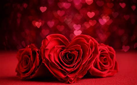 Télécharger Fonds Décran La Saint Valentin Les Roses Coeurs 4k Le