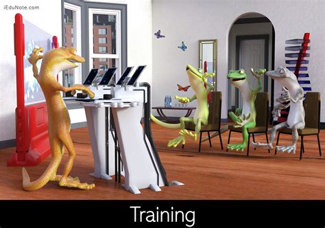 Training: Definition Steps in the Training Process | Training and development, Employee training ...