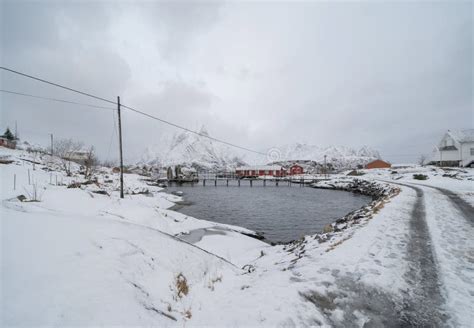 Home Cabin Or House Norwegian Fishing Village In Reine City Lofoten