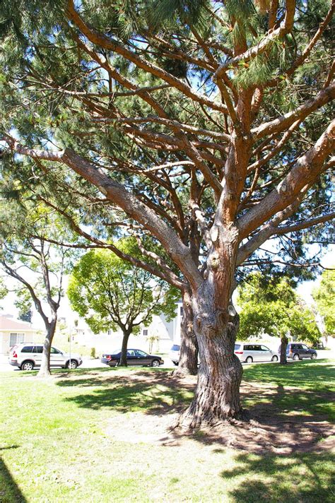 Sample dinner flyers sales dinner sale taylor graphix in. V Ling: 05.10