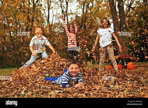 Four Kids Playing In Fall Leaf Pile Stock Photo Royalty Free Image