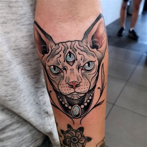 Superb Sphynx Cat Tattoos Tattoo Ideas Artists And Models Vlr Eng Br
