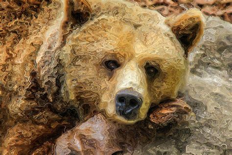 Lazy Grizzly Bear Painting By Jon Bullman Fine Art America