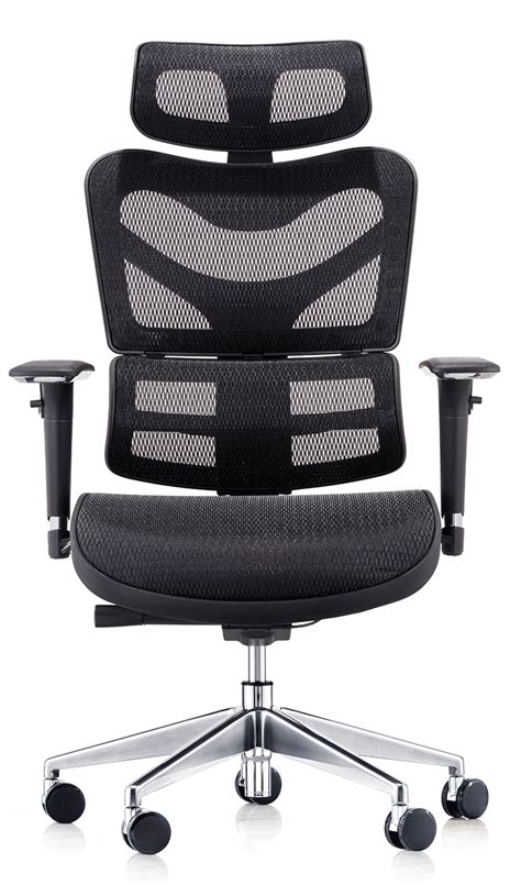 This office chair has been uniquely designed to adapt to the various positions of the body. New Executive Office Chair, Mesh, Fully Adjustable, With ...