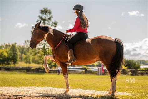 Upper Canada Village Horse Lovers Weekend 2019 A Celebration Of The