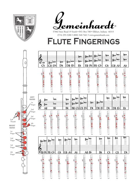Tabla De Posiciones Flauta Travesera Gemeinhardt