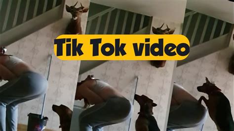 Tik Tok Videos 2020 Best Funny Complation Youtube