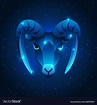 Capricorn zodiac sign blue star horoscope symbol Vector Image