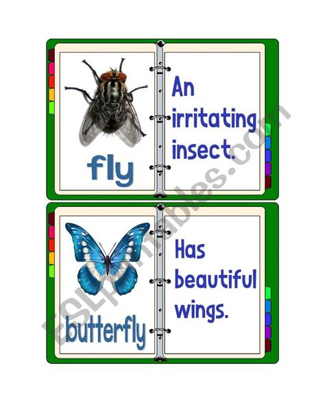 Flashcards Insects With Descriptions 1 Esl Worksheet