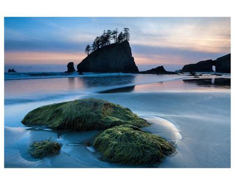 Second Beach At Olympic National Park Washington Usa Posters