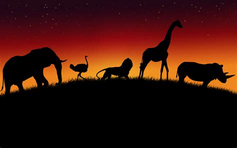 African Animals Wallpaper Hd Pixelstalknet