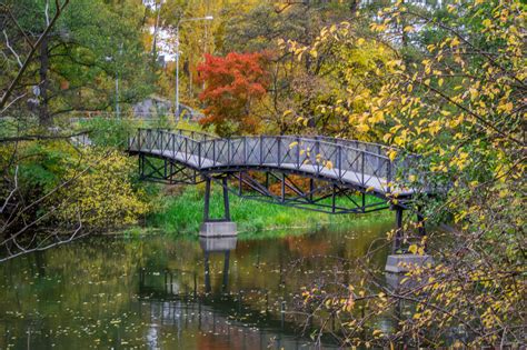 Wallpaper Landscape Water Reflection Branch Bridge River Nikon