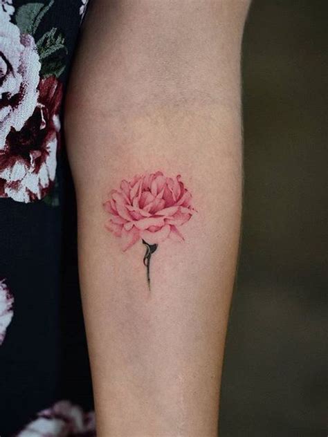 Pin By Victoria Morency On Tattoo Carnation Tattoo Peonies Tattoo